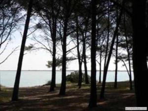 Campings Camping 3 etoiles - Piscine - eehfhg : photos des chambres