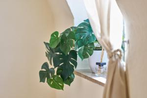 MARX City Studio-Apartment in Trier - Ideal für Geschäftsreisende und Paare - Zentrum - Top Lage