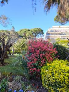 ARA 40m2 CLASSE TERRASSE 35 m2 PISCINE PARKING