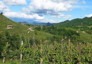 Villa Montello Pool, Jacuzzi, Ac, Wifi, Treviso