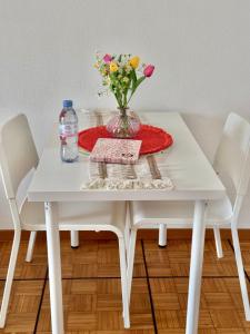 Fribourg Appartement Cosy