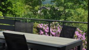 Ferienhaus Magnolie in der Eifel