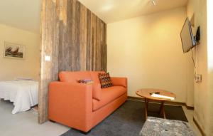 Appartements LA FERME DU MARAIS GIRARD (Villas) : Studio