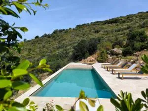 Villa dans le maquis - Piscine - Vue mer - 萨戈内