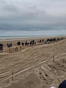 Appartements studio proche plage avec jacuzzi : photos des chambres