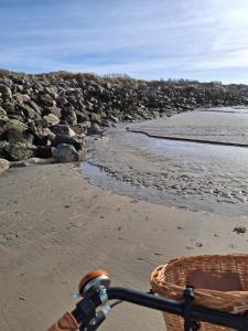 Appartements studio proche plage avec jacuzzi : photos des chambres