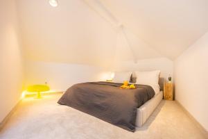 Apartment Musala N 06