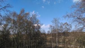 Polanki- Apartments M&M, NATURA