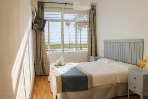 Double or Twin Room room in Hotel Playa Conil