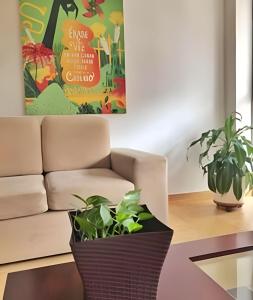 Cálido apartamento en el centro histórico de Cali.