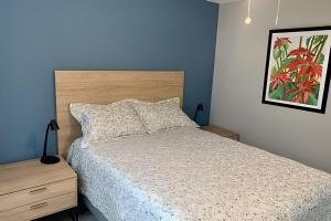 Acogedor, cómodo y tranquilo en el centro Histórico.