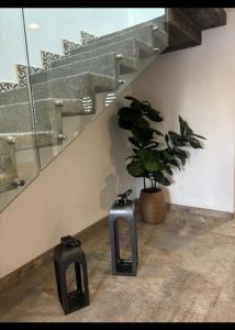 Casa Nogal Pet Friendly