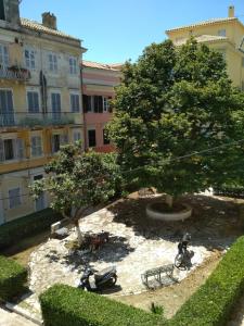 Central Venetian apartment with great view