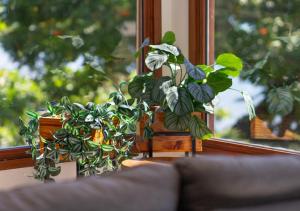 Casa de Frente para o Mar - Siriúba, Ilhabela