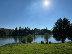 Campings Camping du Lac de Pouzauges a 15- du PuyduFou : photos des chambres