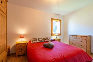 Appartements T3 Cosy in Saint-Jean-de-Sixt : photos des chambres