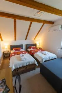 Ruža Dunava - Bački Monoštor