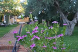 NIDU - Dimora del benessere - Trappeto