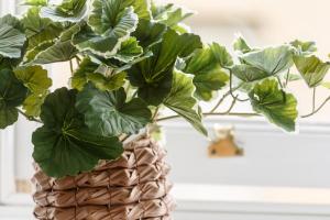 Charming 4BR House in St Helens - Sleep 8