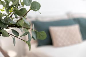 Civico 96 - Magnolia Holidays img2