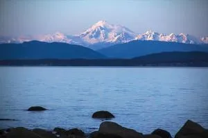 TideAway Farm on Private Island! Escape & Indulge Mother Nature! - Friday Harbor