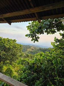 Pure Nature - Eco-lodge in the Mountains!