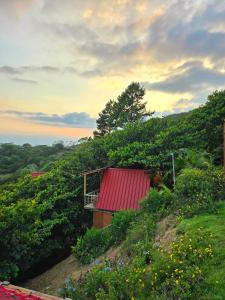 Pure Nature - Eco-lodge in the Mountains!
