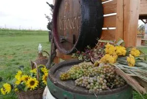 Apartmán u sportovního areálu a koupaliště - 兹诺伊莫