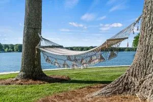 Array of Views - Стейтсвилл