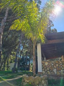 Village Camping Fico DIndia