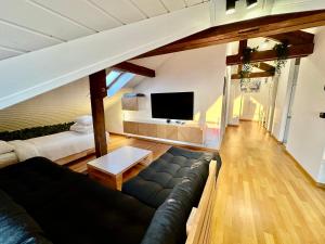 Cosy roof flat close lausanne center - ES