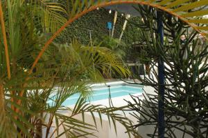 Timeless Oasis Hostel