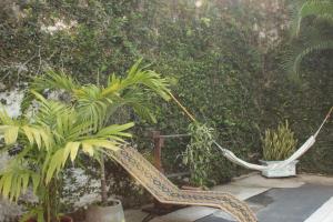 Timeless Oasis Hostel