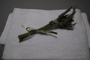 Δ3 Τα διαμερίσματα του δασκάλου