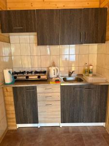 U Źródeł Strwiąża