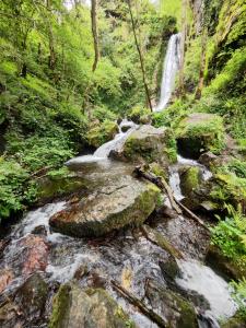 B&B / Chambres d'hotes HiPyrenees : photos des chambres