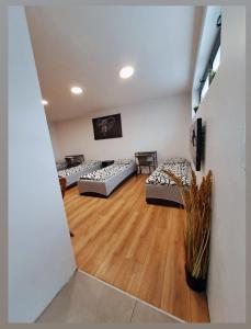 Apartamet typu studio ELEPHANT dla 4 osób