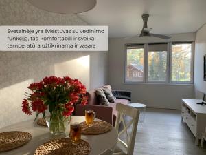 Palūšės Apartment