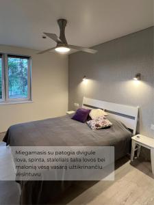 Palūšės Apartment