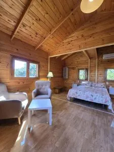 Nuevo Ecolodge Cabañeros - El Torno