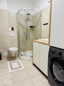 Central Apartment - Palas Mall