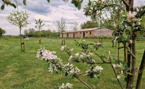 De Wilde Tuin - Studio Lotus