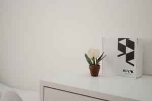 Luxury Stay - City Life