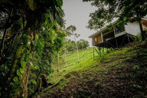 Jungle Bungalow at Oropel Lodge