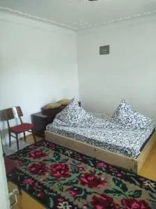 Cazare la munte - Rugineşti