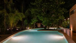Aldea Coba a Comfortable Sleep in the Jungle