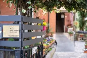 Alice Mercadini B&B - Cannuzzo