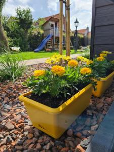 Tip Top Vakantie Huis