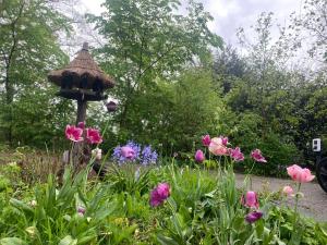 De Cirkel Brucht-Hardenberg