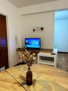 DEPARTAMENTO MODERNO Ciudad de Mendoza